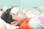 Hà Nội xuất hiện ca viêm não Nhật Bản đầu tiên, Sở y tế cảnh báo triệu chứng của 4 giai đoạn, cha mẹ tuyệt đối không được bỏ qua