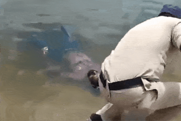 Say xỉn tông xe vào cây thiệt mạng, người mời rượu phải bồi thường-2