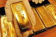 Phát hiện 20kg vàng trị giá 21 tỷ đồng trên tàu và sự thật bất ngờ