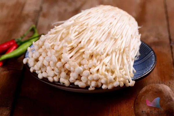 Phát hiện bất ngờ về thần dược tự nhiên chống tiểu đường-2