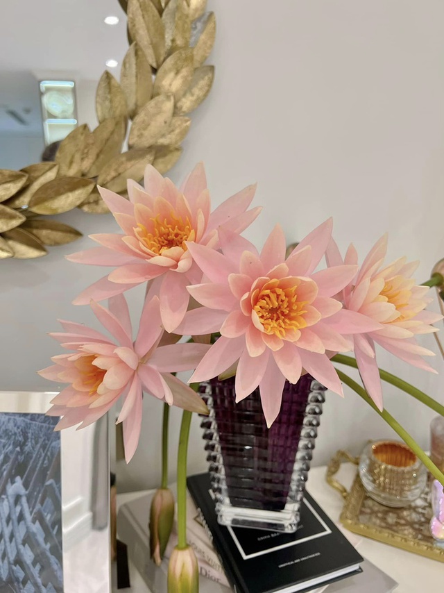 Học cách rèn con đỉnh cao của MC Diệp Chi qua căn phòng màu hồng siêu ngăn nắp-35