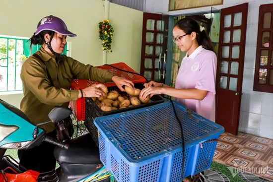 Thủ khoa thi lớp 10 Nam Định từ chối trường chuyên vì gia đình khó khăn