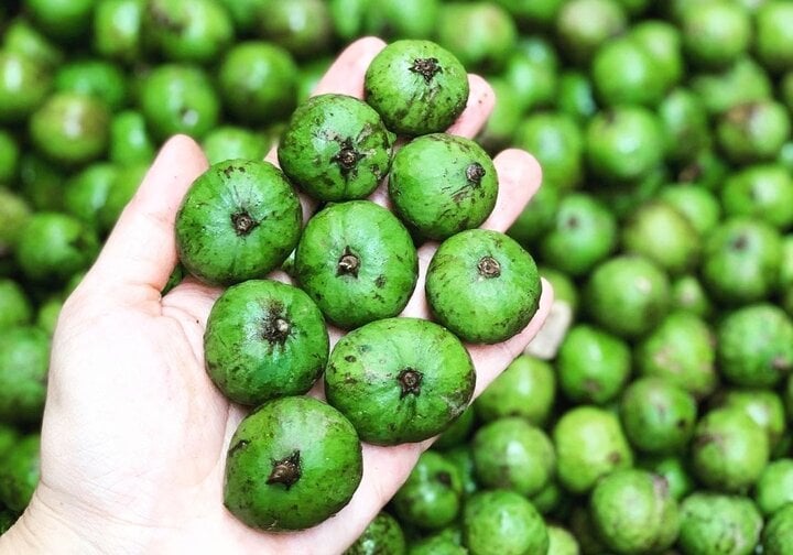 Cách ngâm sấu giòn ngọt đơn giản-1