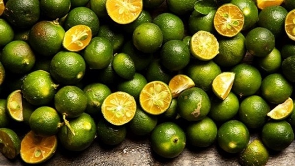 Loại quả nhỏ nhưng có võ, là vị thuốc dân gian chữa bệnh hiệu quả-1