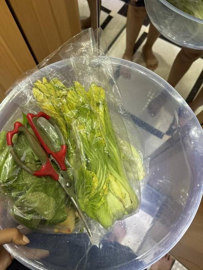 Vợ Phan Mạnh Quỳnh tự nhận là nông dân sân thượng, dùng thứ đồ nhà bếp này bón cho cây xanh tốt-11