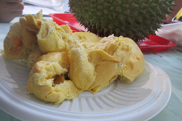 Bất ngờ loại côn trùng bé xíu ít ai ngó ngàng, được lùng mua với giá 15 triệu đồng/kg-6