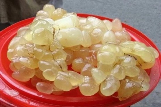 Công dụng bất ngờ của mỡ trăn