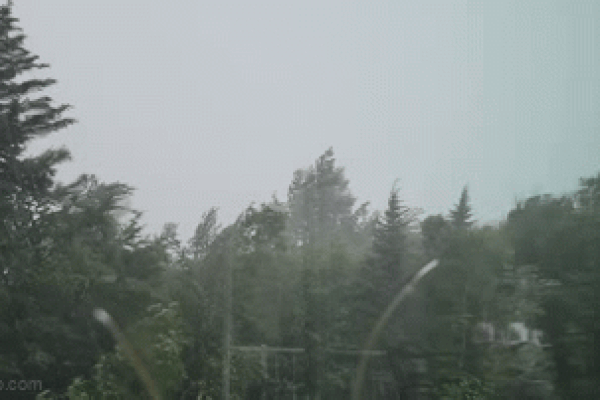 Đứng giữa trời mưa quay clip, cô gái suýt bị sét đánh trúng-1