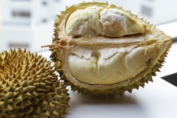 Con sao gặp rắc rối ở trường: Lọ Lem nhà Quyền Linh bị bạn ngó lơ, con gái Thủy Tiên có group nói xấu-12