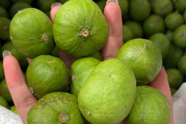 Uống nước sấu có giúp giảm nồng độ cồn?-1