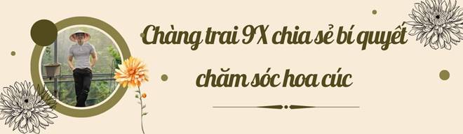 Chàng trai chi 400 triệu trồng vườn hoa cúc 1.000m2, hơn 50 loài khoe sắc rực rỡ đẹp mê li-6