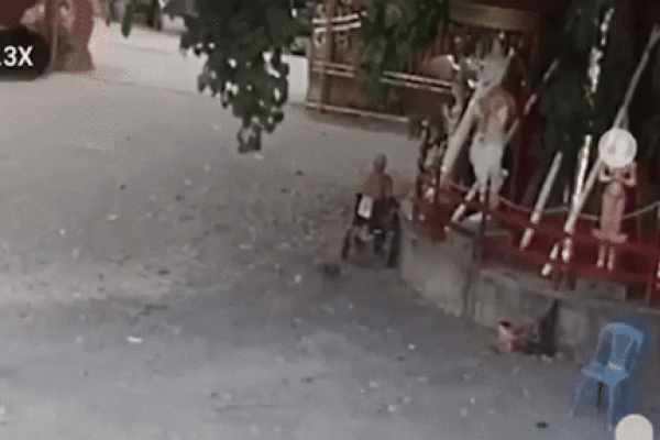 Clip: Bị cành cây rơi trúng, cụ ông ngồi xe lăn tử vong