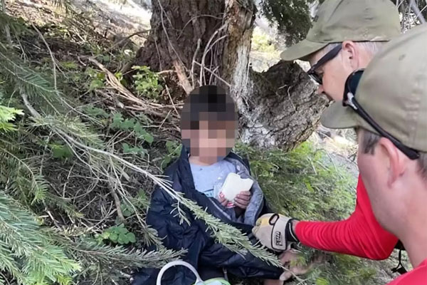 Cảnh bất ngờ dưới gốc cây sau 22 giờ bé 4 tuổi bị lạc trong rừng đầy thú dữ-2