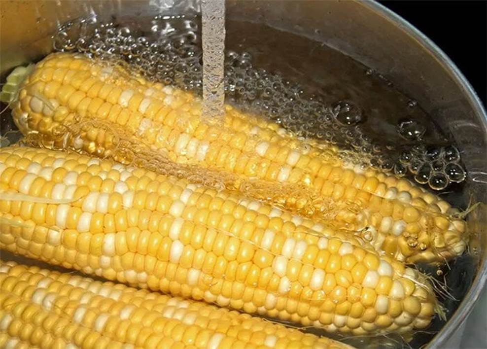 Luộc ngô nhớ cho chút bột này, ngô sẽ ngọt và dẻo thơm đặc biệt-3