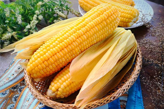 Luộc ngô nhớ cho chút bột này, ngô sẽ ngọt và dẻo thơm đặc biệt