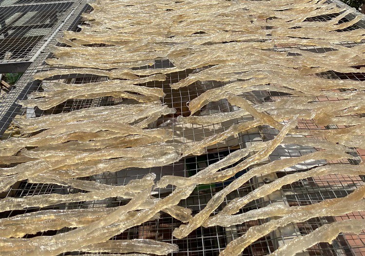 Ninh Thuận có loại nhựa cây ăn như tổ yến, giá bán từ 220 nghìn đồng/kg-2