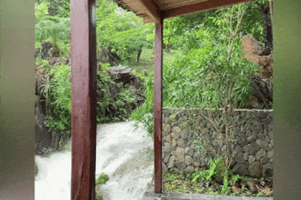 Nguồn gốc và ý nghĩa Ngày Gia đình Việt Nam 28/6-3