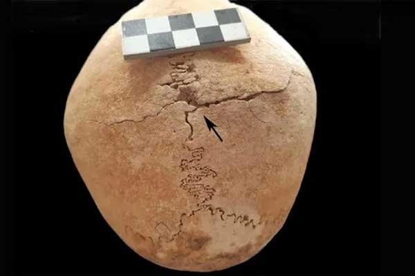 Bí ẩn nữ chiến binh thời trung cổ được chôn cất cùng 23 tu sĩ Tây Ban Nha-1