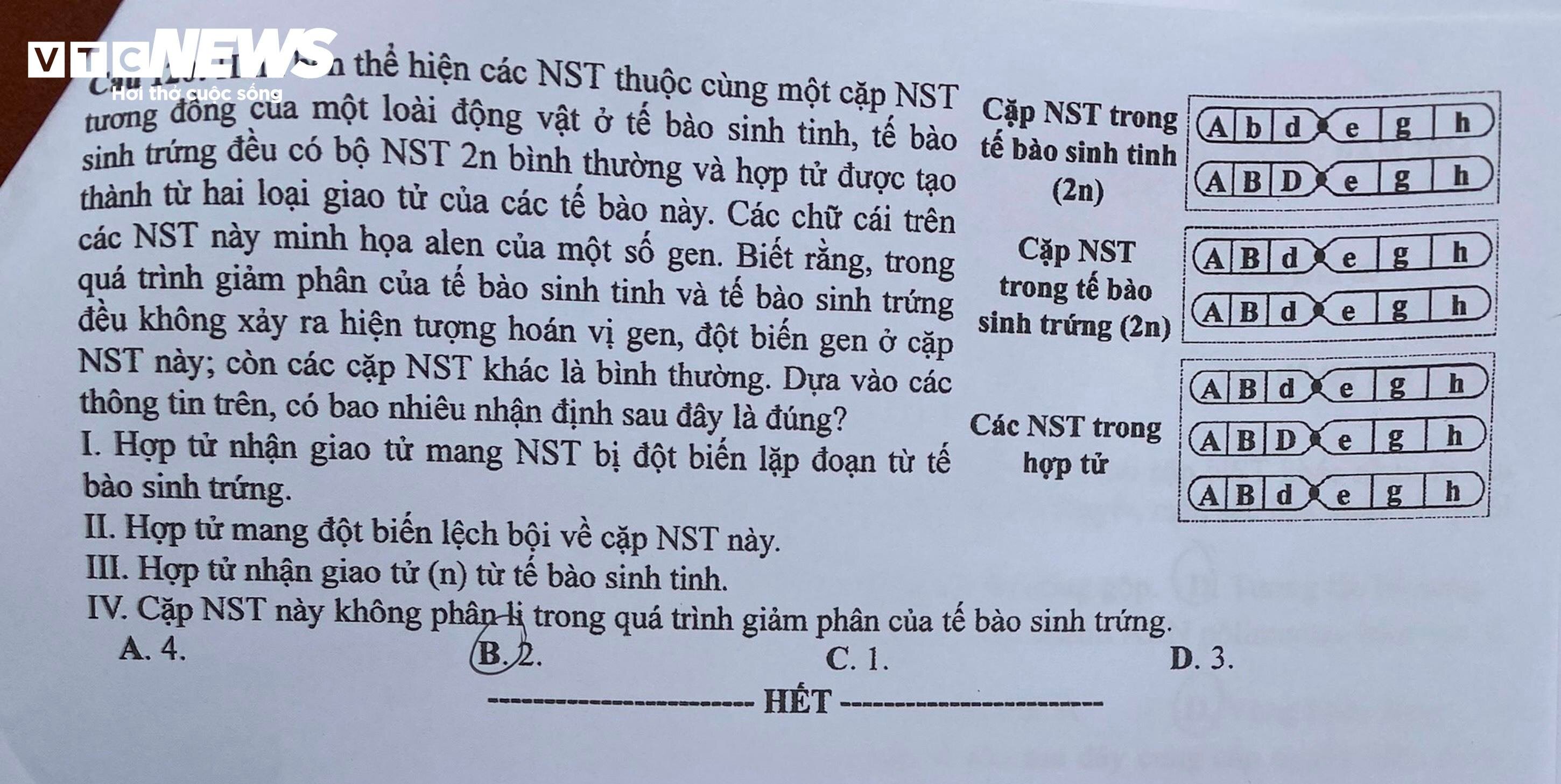 Đề Sinh học thi tốt nghiệp THPT 2024-6