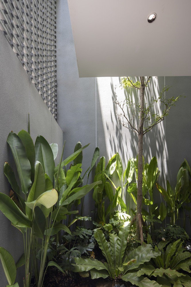 Khám phá không gian chữa lành trong nhà ống-12