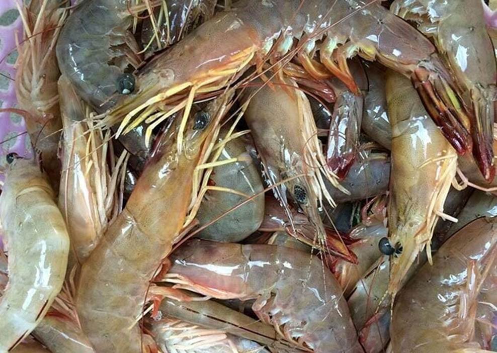 Cách làm tôm khô nhanh gọn bằng lò vi sóng-2