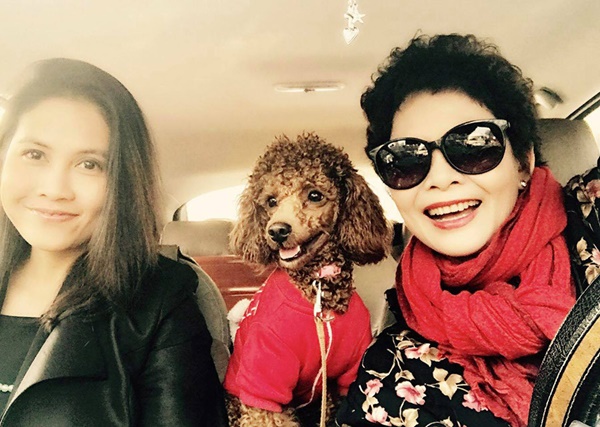 Con gái định cư ở Mỹ, NSND Minh Châu U70 sống một mình bên chú chó nhỏ-15