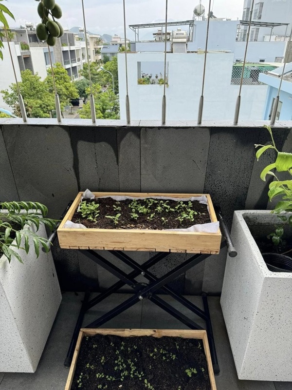 Vợ Phan Mạnh Quỳnh hé lộ điểm đặc biệt trong căn biệt thự biển Nha Trang, chia sẻ kinh nghiệm trồng cây trên sân thượng-11