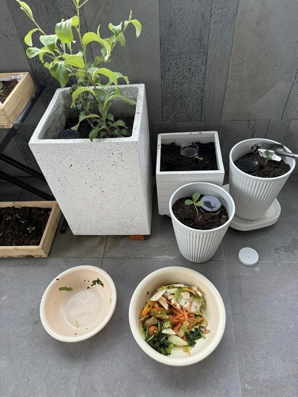 Vợ Phan Mạnh Quỳnh hé lộ điểm đặc biệt trong căn biệt thự biển Nha Trang, chia sẻ kinh nghiệm trồng cây trên sân thượng-15