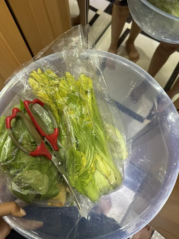 Vợ Phan Mạnh Quỳnh hé lộ điểm đặc biệt trong căn biệt thự biển Nha Trang, chia sẻ kinh nghiệm trồng cây trên sân thượng-16