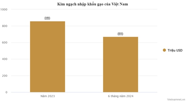 Chỉ nửa năm, Việt Nam chi gần 700 triệu USD để nhập khẩu gạo-1