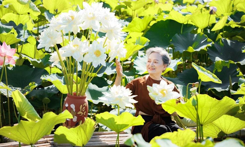 Cụ bà U80 ở Hải Dương chụp ảnh cùng sen khiến dân mạng khen nức nở-1