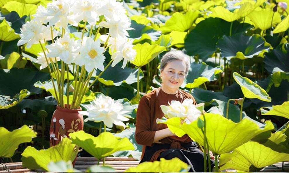 Cụ bà U80 ở Hải Dương chụp ảnh cùng sen khiến dân mạng khen nức nở-2