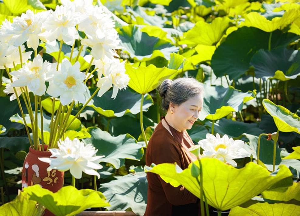 Cụ bà U80 ở Hải Dương chụp ảnh cùng sen khiến dân mạng khen nức nở-5
