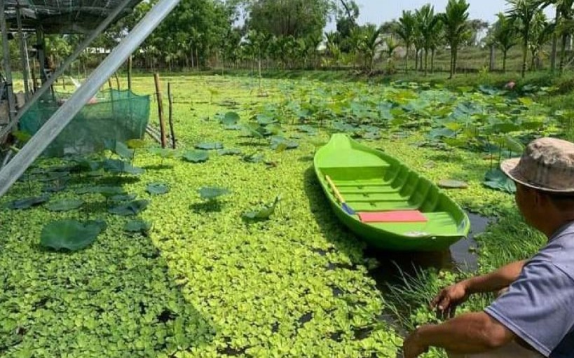 Chị nông dân cứ 1 tháng đút túi 100 triệu đồng nhờ nuôi con siêu mắn đẻ”-3