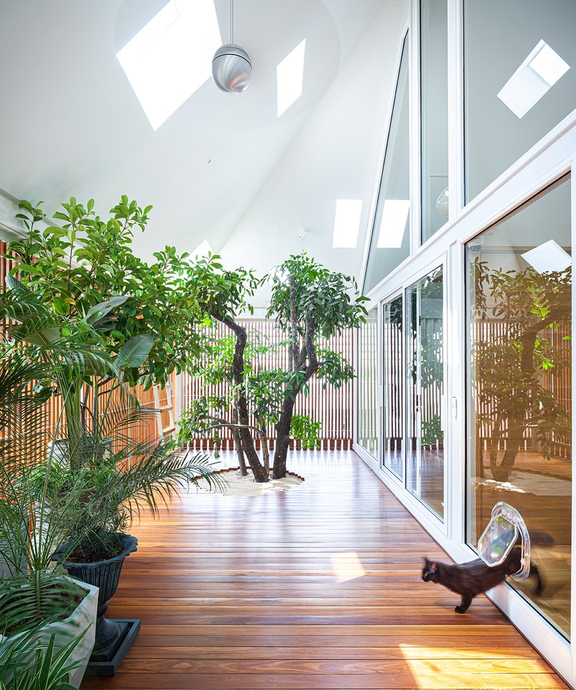 Độc lạ ngôi nhà nửa kín nửa hở giữa thành phố-16