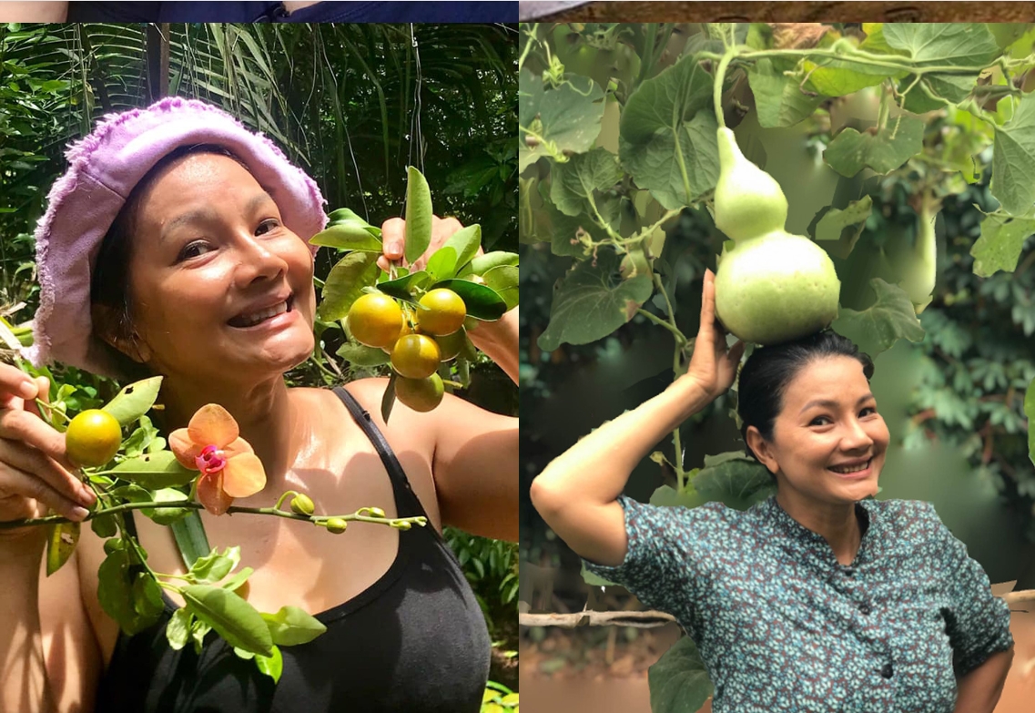 Nữ hoàng cảnh nóng Kiều Trinh an yên trong nhà vườn 6.000m2-9