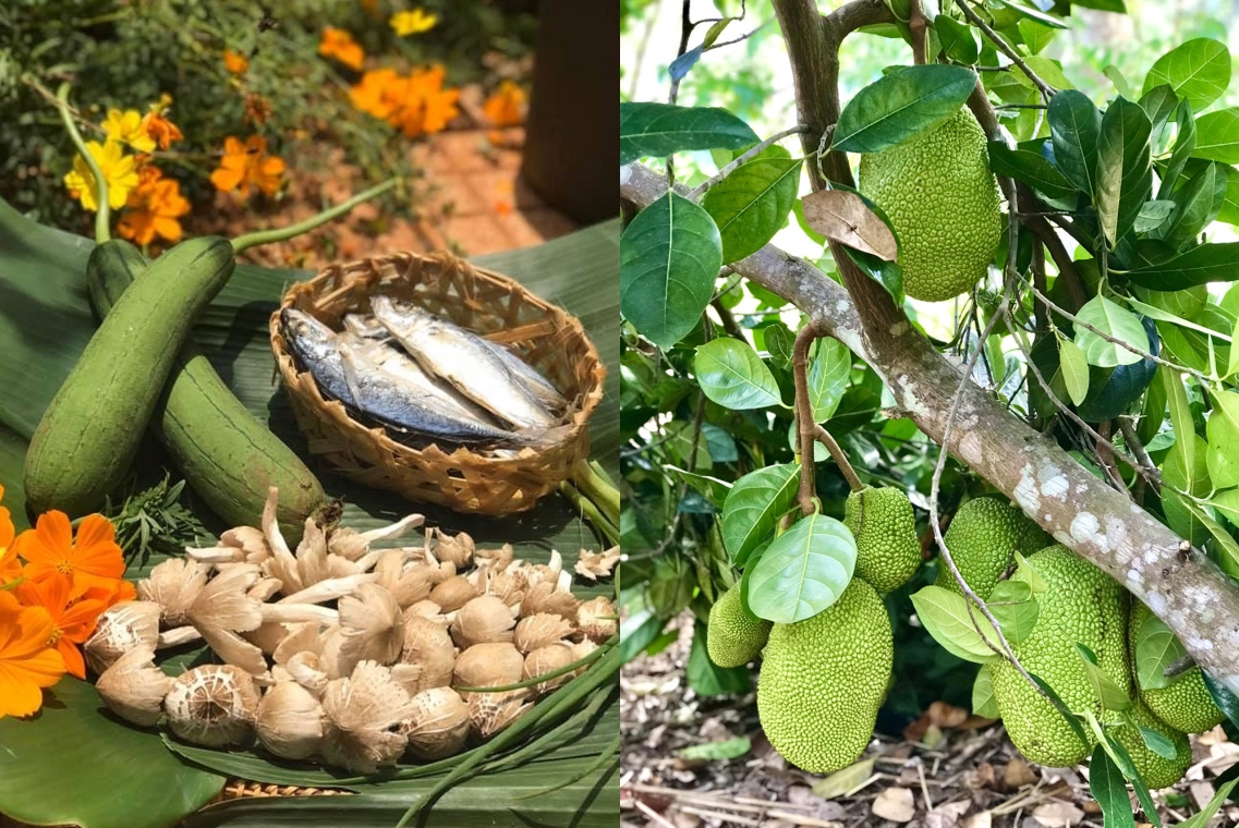 Nữ hoàng cảnh nóng Kiều Trinh an yên trong nhà vườn 6.000m2-10