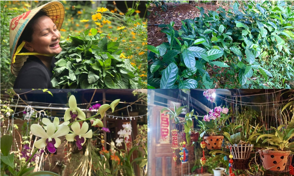 Nữ hoàng cảnh nóng Kiều Trinh an yên trong nhà vườn 6.000m2-12