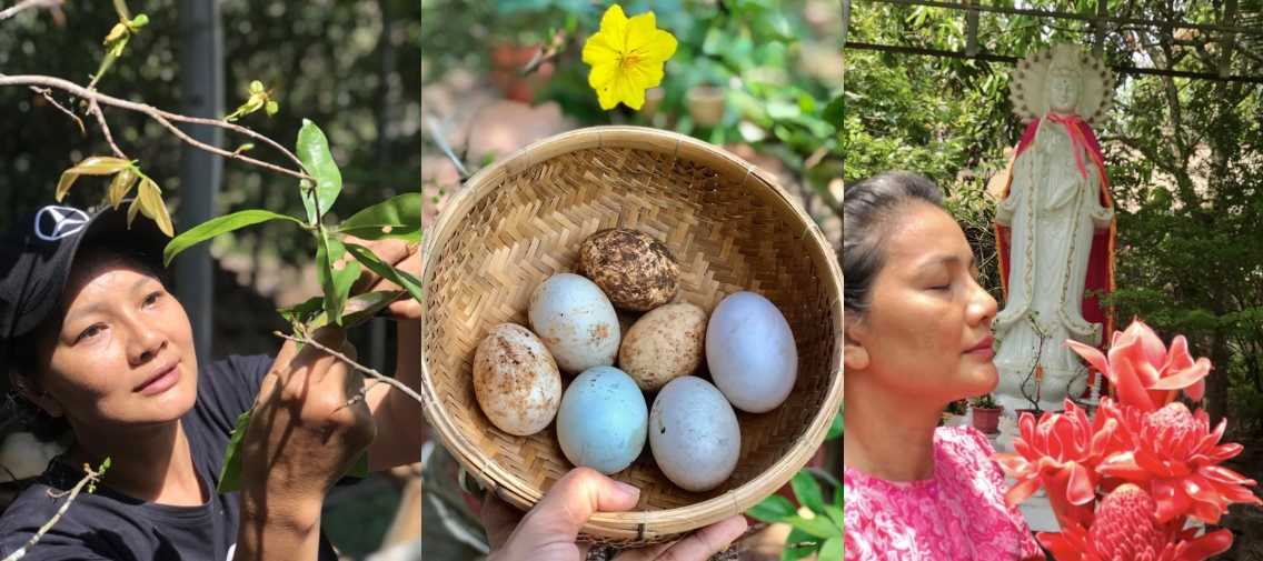 Nữ hoàng cảnh nóng Kiều Trinh an yên trong nhà vườn 6.000m2-14