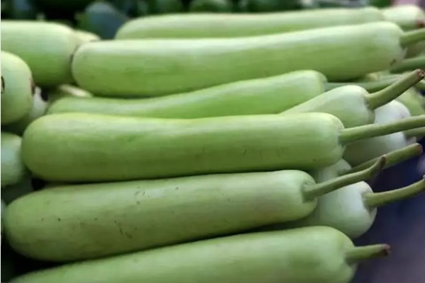 Lợi ích từ những món ăn với quả bầu vừa ngon, lại bổ, rẻ-1