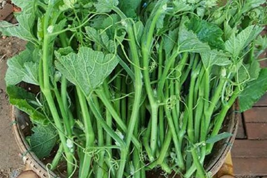 3 loại rau mùa hè “ngậm” nhiều hóa chất nhất chợ, cái số 1 ít ai hay