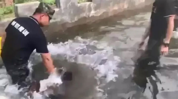 Huấn luyện ma quỷ ở trại hè kiểu quân đội khiến dân mạng Trung Quốc sợ hãi-2