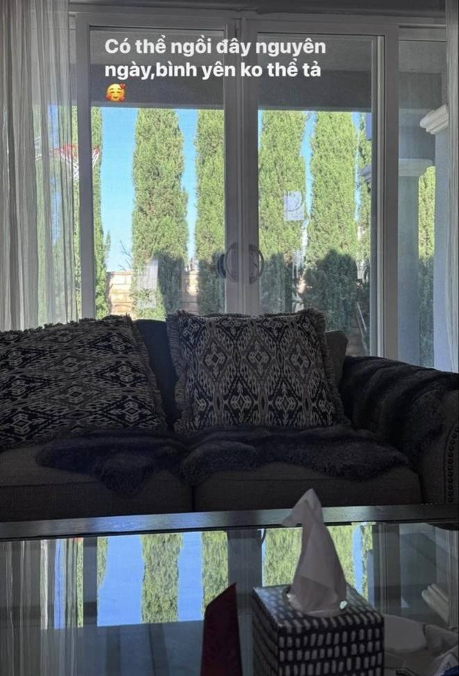 Lệ Quyên flex bên trong căn biệt thự triệu đô ở Mỹ, mong đến ngày cậu chủ trẻ tiếp quản tổ ấm-3