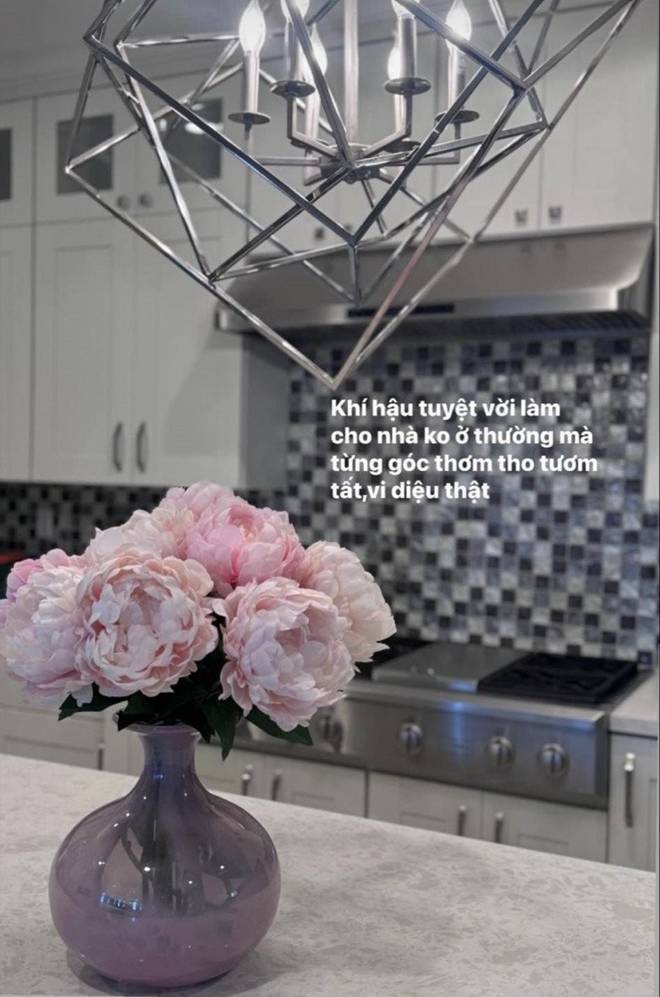 Lệ Quyên flex bên trong căn biệt thự triệu đô ở Mỹ, mong đến ngày cậu chủ trẻ tiếp quản tổ ấm-4