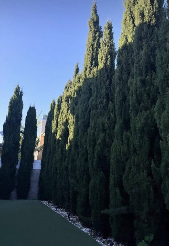 Lệ Quyên flex bên trong căn biệt thự triệu đô ở Mỹ, mong đến ngày cậu chủ trẻ tiếp quản tổ ấm-7