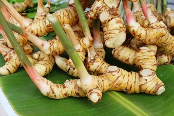 Gia vị quen thuộc này hóa ra lại là khắc tinh của nhiều bệnh thường gặp-2