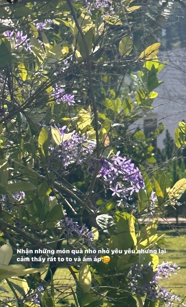 Một tháng sau ồn ào với Decao, cuộc sống của Lâm Minh hiện giờ ra sao?-2