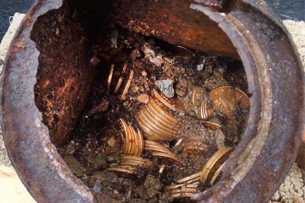 Dắt chó đi dạo, cặp vợ chồng tìm thấy thứ trị giá 254 tỷ đồng-1