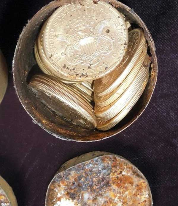 Dắt chó đi dạo, cặp vợ chồng tìm thấy thứ trị giá 254 tỷ đồng-2