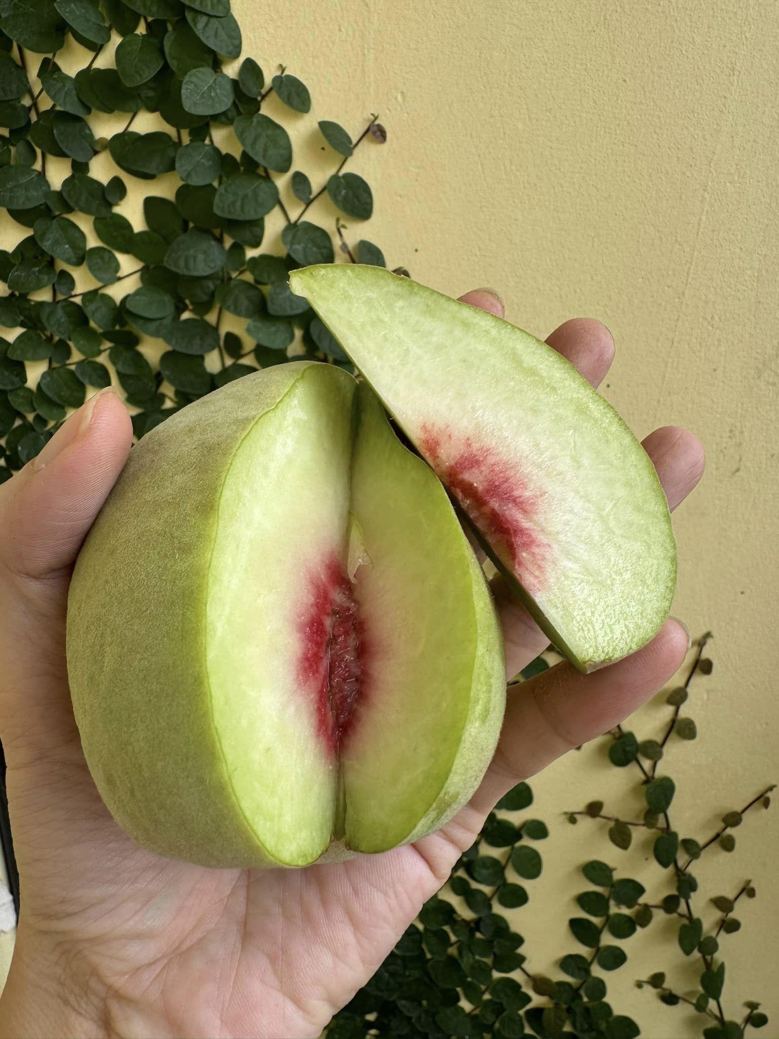 Loại đào Trung Quốc vào mùa, giá lên đến 150.000 đồng/kg vẫn hút khách-1